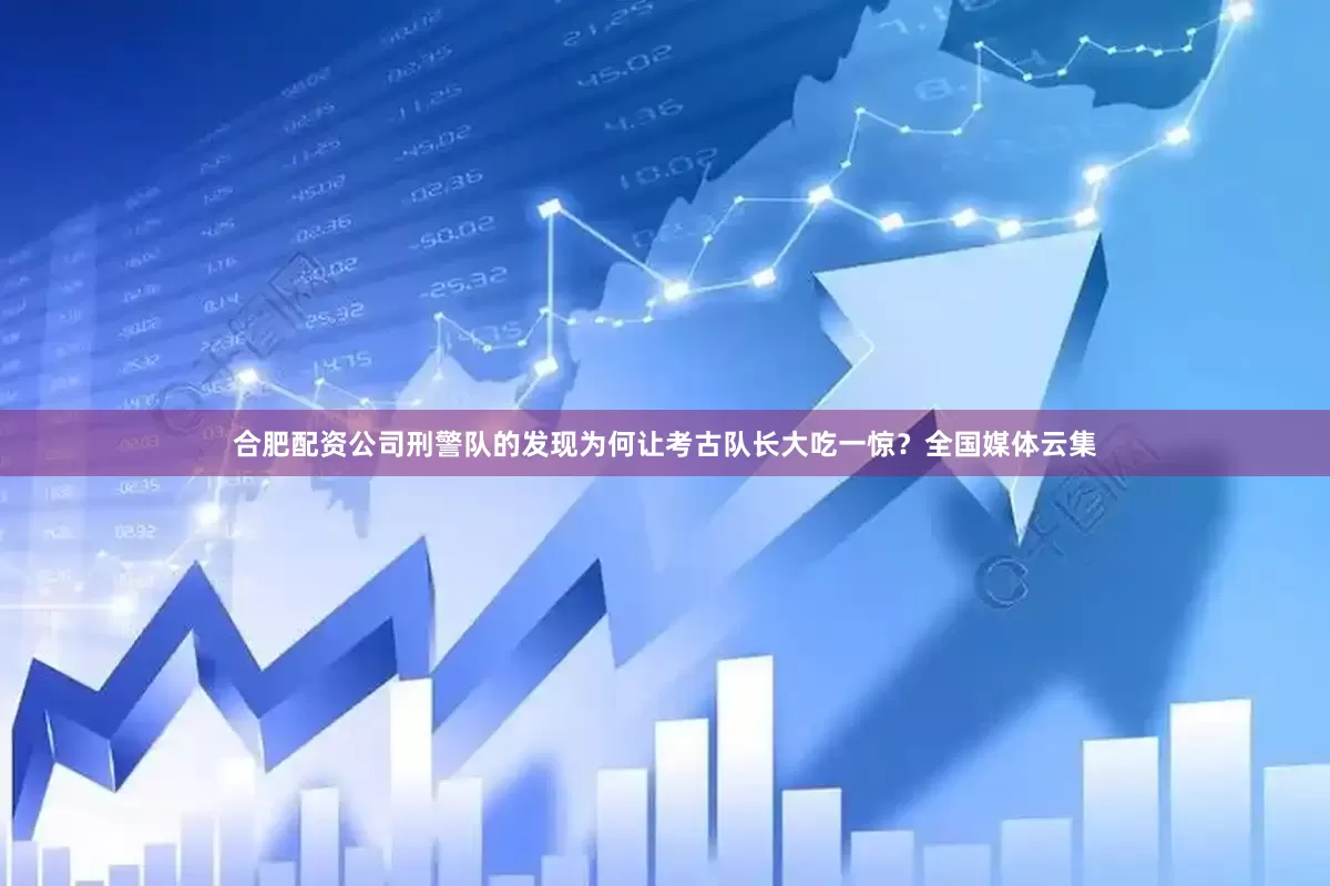合肥配资公司刑警队的发现为何让考古队长大吃一惊？全国媒体云集
