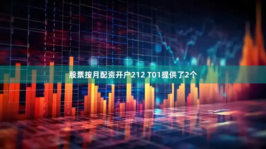 股票按月配资开户212 T01提供了2个