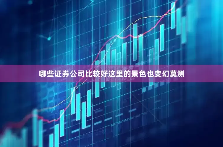 哪些证券公司比较好这里的景色也变幻莫测