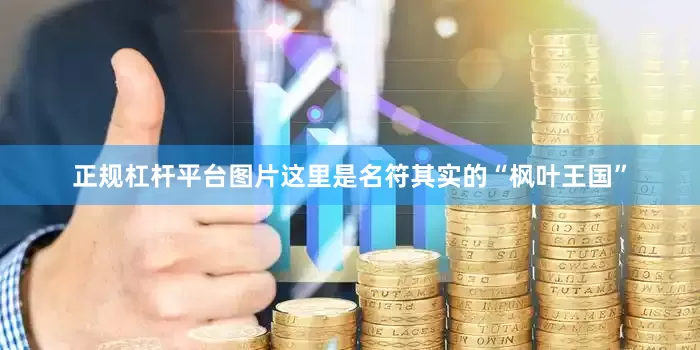 正规杠杆平台图片这里是名符其实的“枫叶王国”